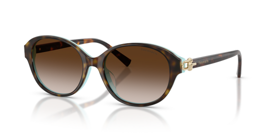 Tiffany TF4263D - Havana On Tiffany Blue / Brown Gradient (81343B)