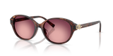 Spotted Brown Havana / Pink/Violet (84218H)