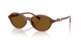 Transparent Honey / Dark Brown Polarized (847183)