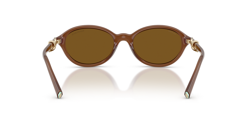 Tiffany TF4266U in Transparent Honey - Temple Detail
