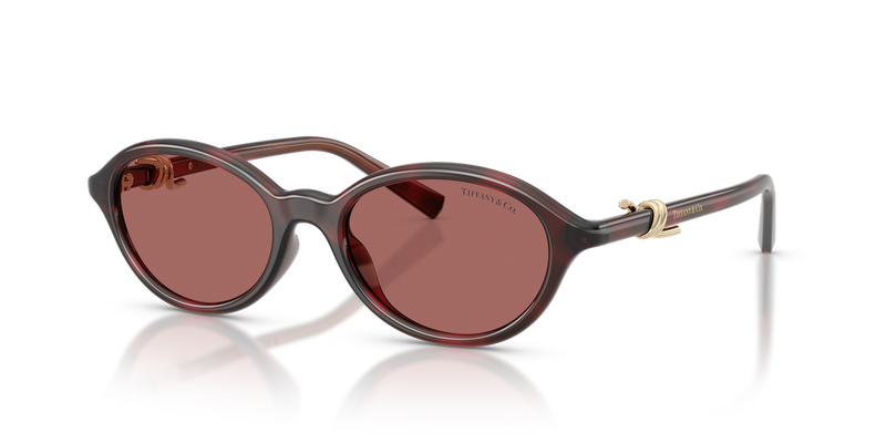 Tiffany TF4266U in Ruby Havana - Alternate View