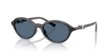 Sapphire Havana / Dark Blue (847380)