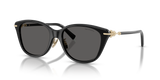 Black / Dark Grey (8001S4)