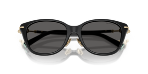 Black / Dark Grey (8001S4)