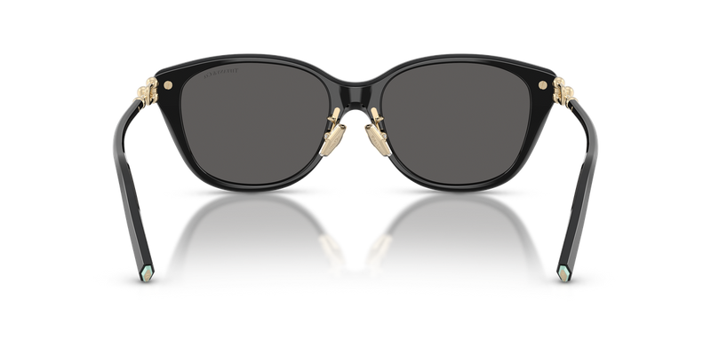 Tiffany TF4267F in Black - Temple Detail