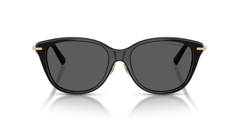 Tiffany TF4267F in Black - Alternate View
