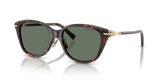 Havana / Dark Green (80153H)