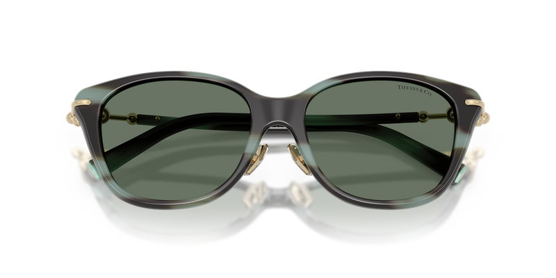 Tiffany TF4267F in Striped Black Tiffany - Alternate View