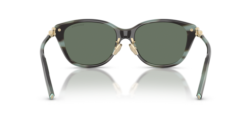 Tiffany TF4267F in Striped Black Tiffany - Alternate View