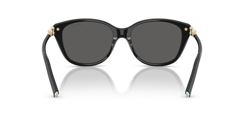 Tiffany TF4267 in Black - Temple Detail