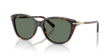Havana / Dark Green (80153H)