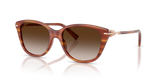 Striped Honey / Brown Gradient (84693B)