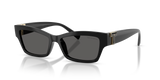 Black / Dark Grey (8001S4)