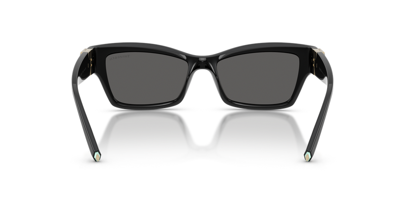 Tiffany TF4269U in Black - Temple Detail