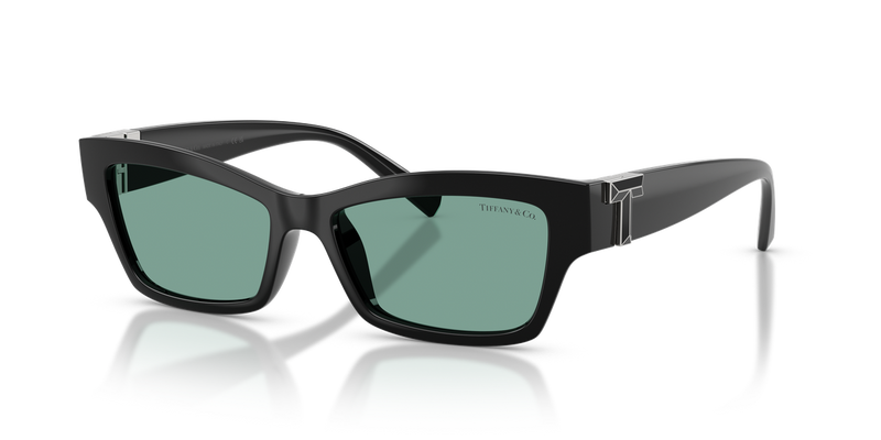 Tiffany TF4269U in Black - Alternate View