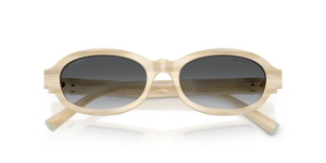 Striped Ivory / Polarized Grey Gradient (8431T3)