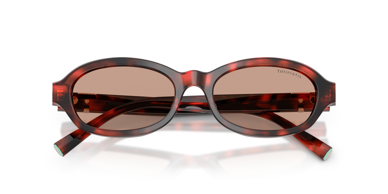 Tiffany TF4270U in Ruby Havana - Alternate View