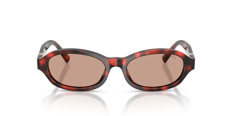 Tiffany TF4270U in Ruby Havana - Alternate View