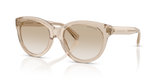 Crystal Beige / Neutral Gradient Light Grey (844511)