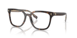 Dark Tortoise / Demo Lens (1728)