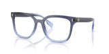 Navy Gradient / Demo Lens (3178)