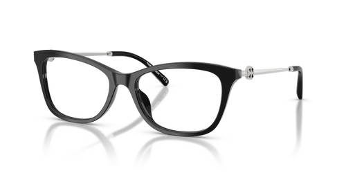 Black / Demo Lens (1709)