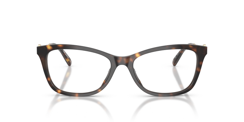 Tory Burch TY2165U in Dark Tortoise / Demo Lens (1728) - Alternate View