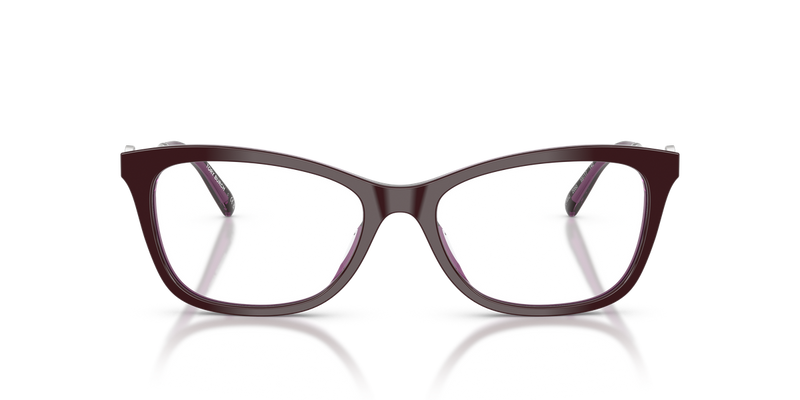 Tory Burch TY2165U in Purple Crystal / Demo Lens (2050) - Alternate View