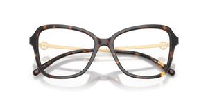 Dark Tortoise / Demo Lens (1728)