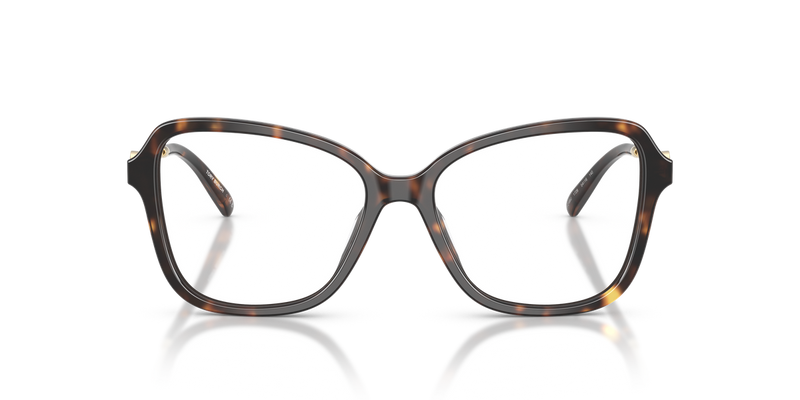 Tory Burch TY2166U in Dark Tortoise / Demo Lens (1728) - Alternate View