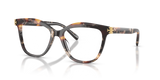 Dark Tortoise / Demo Lens (2072)