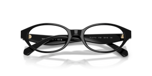 Black / Demo Lens (1709)