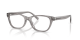 Transparent Grey / Demo Lens (1953)