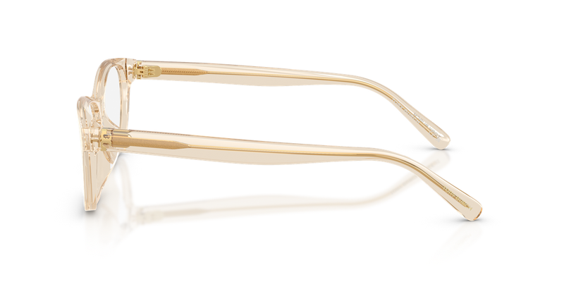 Tory Burch TY2172D in Transparent Beige - Alternate View