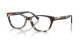 Dark Tortoise / Demo Lens (2072)