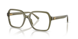 Transparent Olive / Recycled Demo (2085)