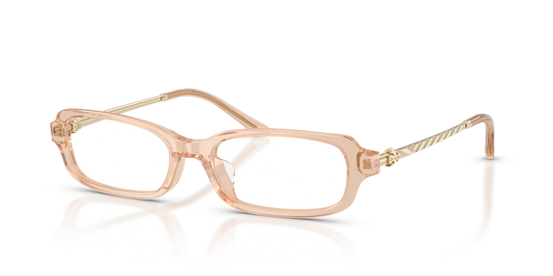 Tory Burch TY2176D in Transparent Light Brown - Alternate View