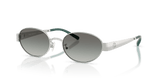 Silver / Grey Gradient (327411)