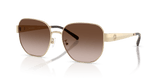 Shiny Light Gold / Brown Gradient (334613)