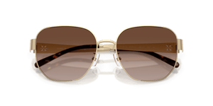 Shiny Light Gold / Brown Gradient (334613)