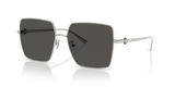 Silver / Dark Grey (327487)