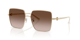 Shiny Light Gold / Brown Gradient (334613)