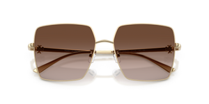 Shiny Light Gold / Brown Gradient (334613)
