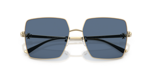 Shiny Light Gold / Solid Blue (334680)