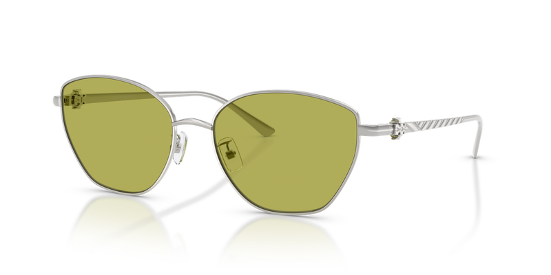 Tory Burch TY6121 in Silver - Front View