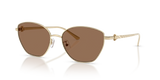 Shiny Light Gold / Solid Brown (334673)