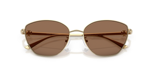 Shiny Light Gold / Solid Brown (334673)