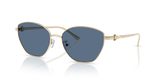 Shiny Light Gold / Solid Blue (334680)