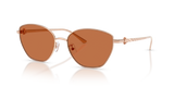 Light Rose Gold / Light Red Brown (335873)