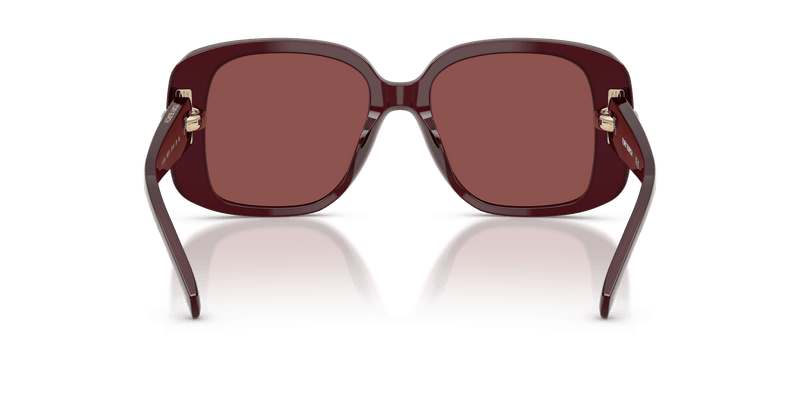 Tory Burch TY7223U in Opal Burgundy / Wine (196075) - Alternate View